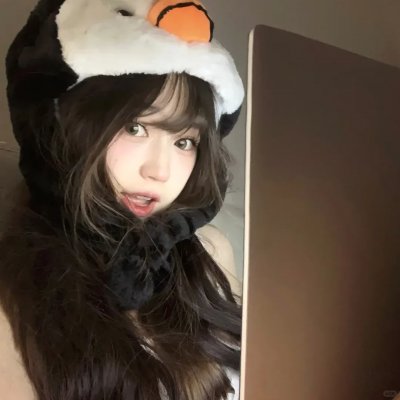 来自收容所的爱